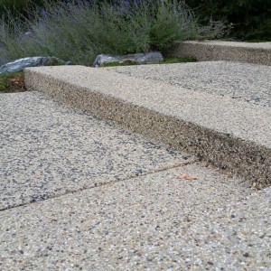 Exposed aggregate steps with seeded color infill